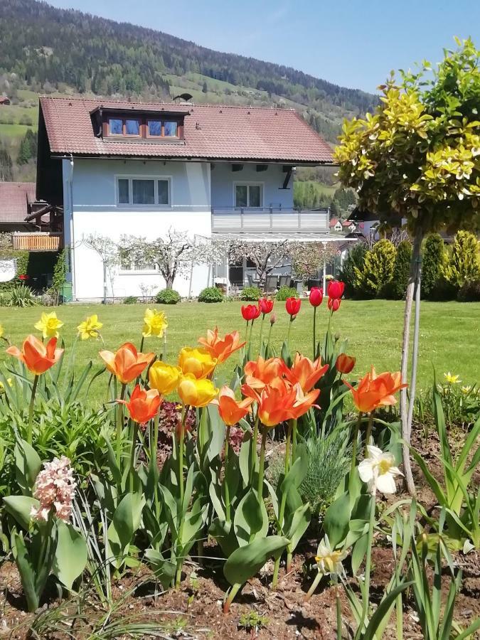 Pension Strauss Sankt Lorenzen ob Murau Bagian luar foto